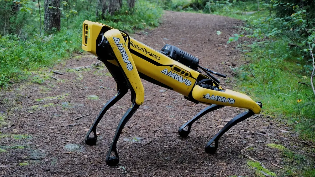 Robot Spot jaune de Boston Dynamics photographié sur un chemin forestier
