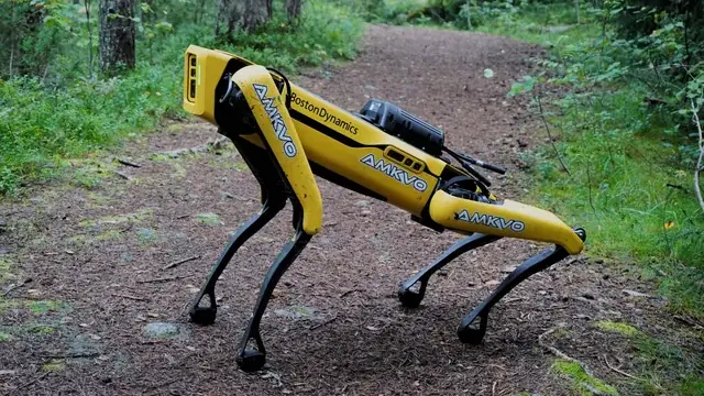 Robot Spot jaune de Boston Dynamics photographié sur un chemin forestier